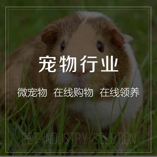 荆门宠物