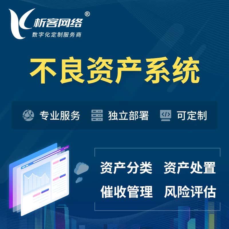 荆门不良资产管理系统