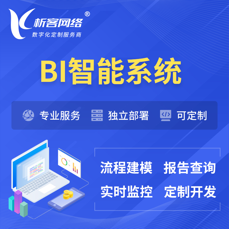 荆门BI智能系统 | BI数据可视化